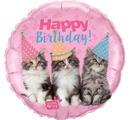 Fóliový balón 18 palcov QL, HAPPY BDAY KITTENS