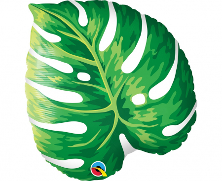 Fóliový balón 21 palcov QL, Tropical Filodendron list